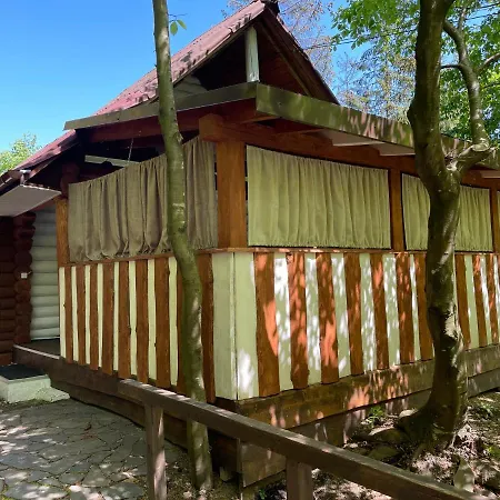 Grunok (adults Only) Pilipets