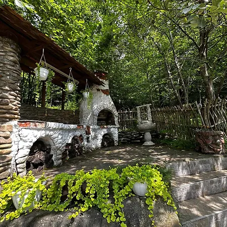 Grunok (adults Only)