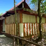 Grunok (adults Only) Pilipets